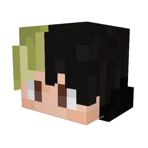 SoyDRIP Minecraft avatar head, 3D render