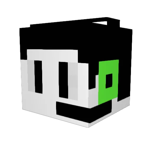 SoyJoniga13e Minecraft avatar head, 3D render