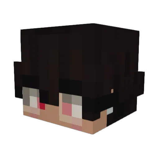 SoyMax_ Minecraft avatar head, 3D render