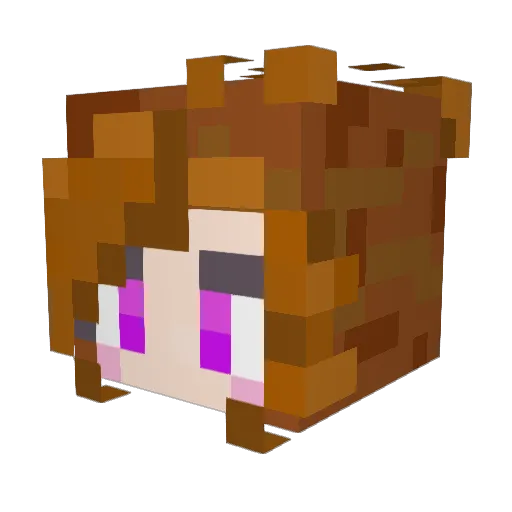 SoyNoelly Minecraft avatar head, 3D render