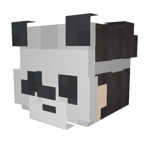 SoyPandi Minecraft avatar head, 3D render
