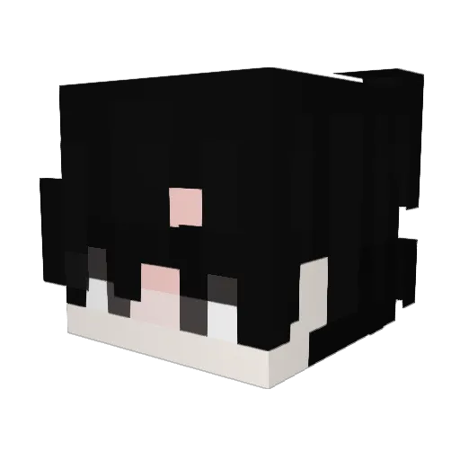 SoySebaX Minecraft avatar head, 3D render
