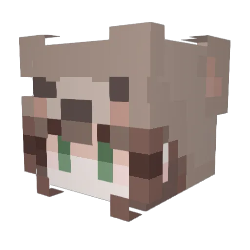 SoyShellyUwU Minecraft avatar head, 3D render