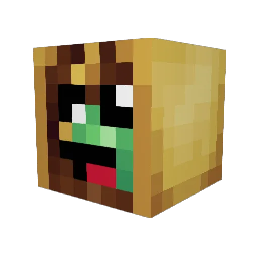 SoyTacoJaspy Minecraft avatar head, 3D render