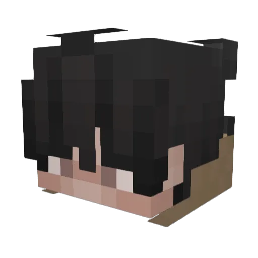 Soy_Seth Minecraft avatar head, 3D render