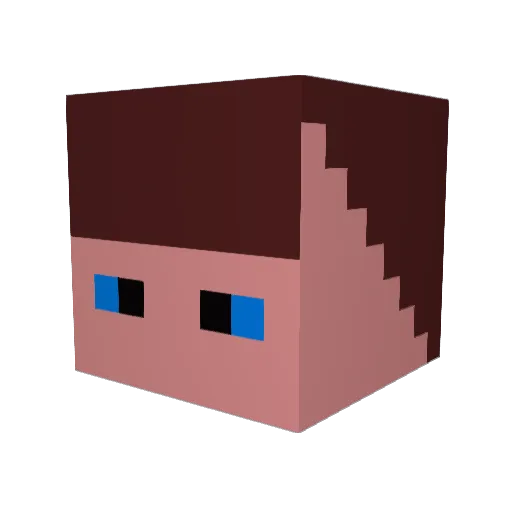 Soy_bean_ Minecraft avatar head, 3D render