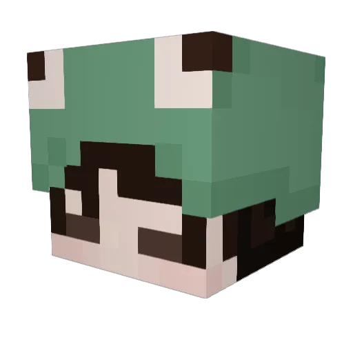 Soyabean736 Minecraft avatar head, 3D render