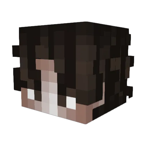 Soykzu Minecraft avatar head, 3D render