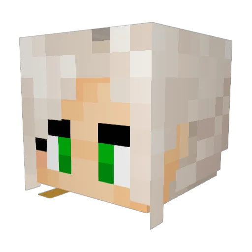 SoyleMr Minecraft avatar head, 3D render