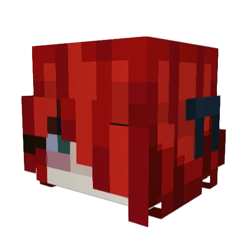 Soymaxxer Minecraft avatar head, 3D render