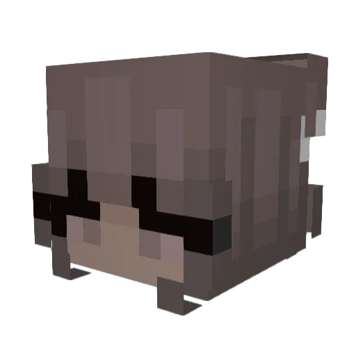 Sp00kyBrav0 Minecraft avatar head, 3D render