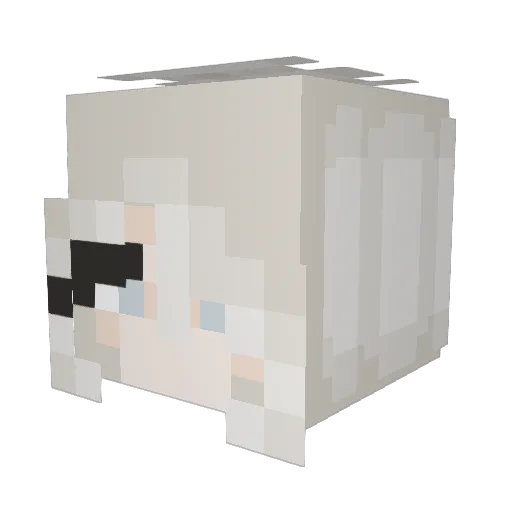 Sp00n12 Minecraft avatar head, 3D render