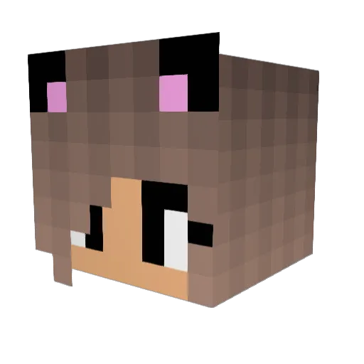 Sp0tix Minecraft avatar head, 3D render