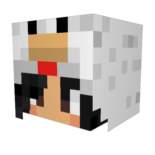 Sp1cyCh1cken Minecraft avatar head, 3D render