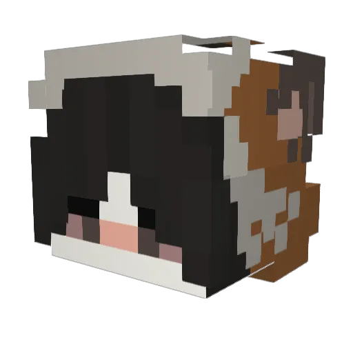 Sp3tixAlone Minecraft avatar head, 3D render