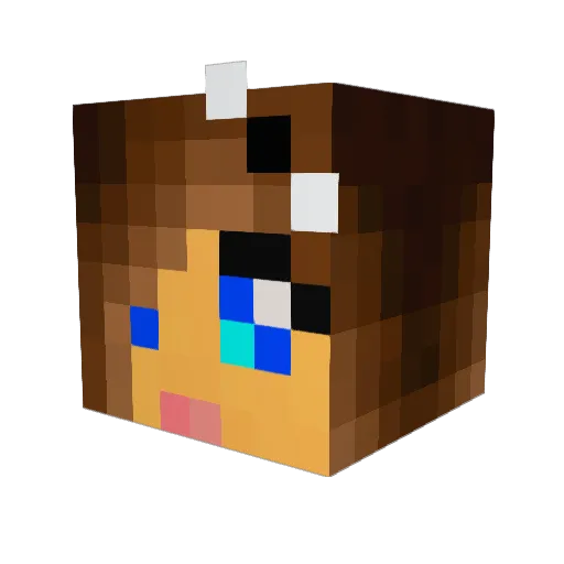 Sp4ded Minecraft avatar head, 3D render