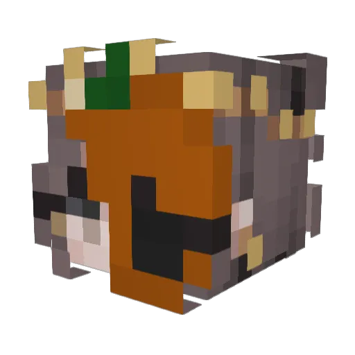 Sp4wnyp0int Minecraft avatar head, 3D render