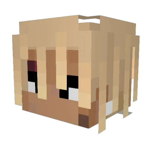 Sp5ders Minecraft avatar head, 3D render