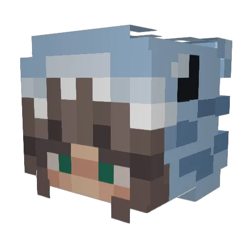 SpAgent8 Minecraft avatar head, 3D render