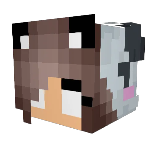 SpEcHeLLe Minecraft avatar head, 3D render