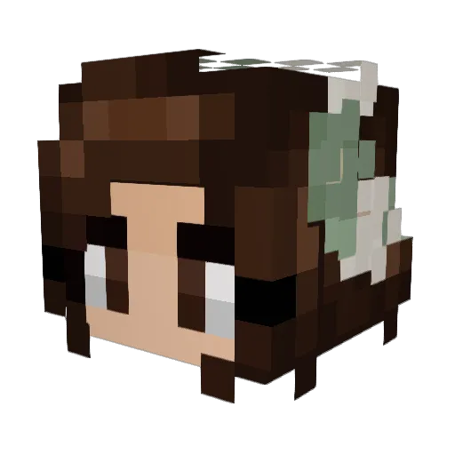 SpHiNx3299 Minecraft avatar head, 3D render