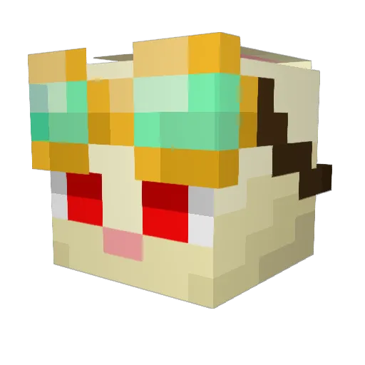 SpRabis6909 Minecraft avatar head, 3D render