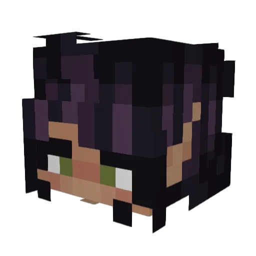 SpRayF8 Minecraft avatar head, 3D render