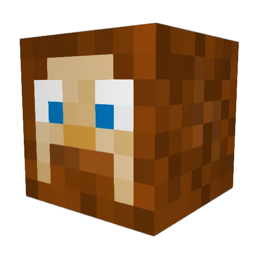 SpToaster Minecraft avatar head, 3D render