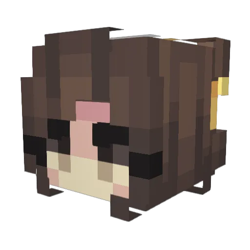 SpZanG Minecraft avatar head, 3D render