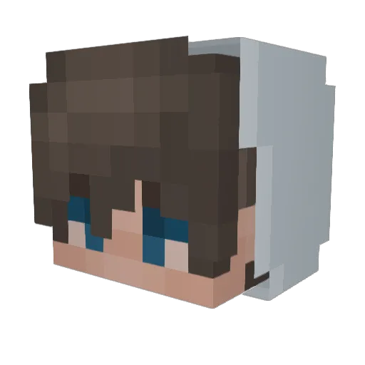 SpaBubbelWater Minecraft avatar head, 3D render