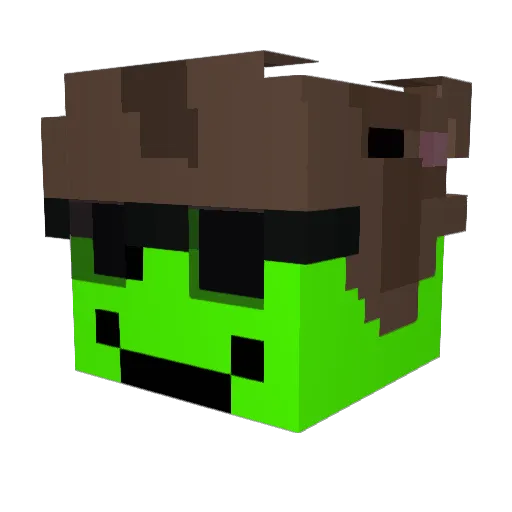 Space6942 Minecraft avatar head, 3D render