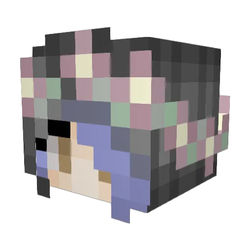 SpaceAndTimeRift Minecraft avatar head, 3D render