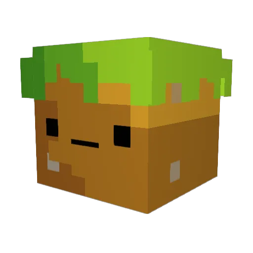SpaceBaby0810 Minecraft avatar head, 3D render