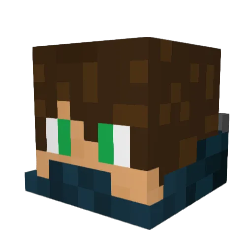 SpaceBare424 Minecraft avatar head, 3D render