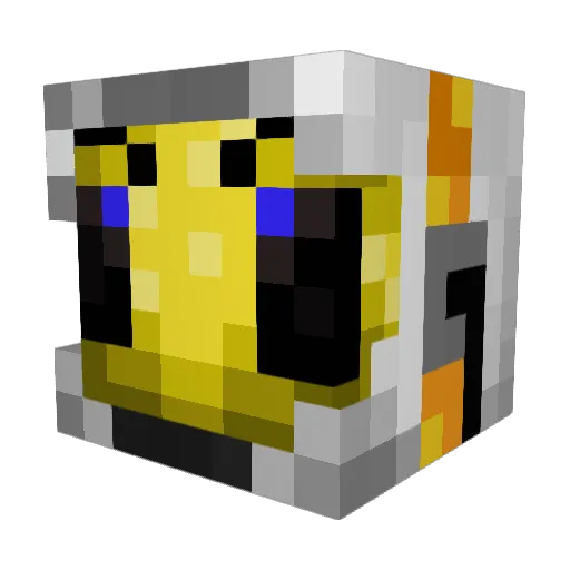 SpaceBee_YT Minecraft avatar head, 3D render