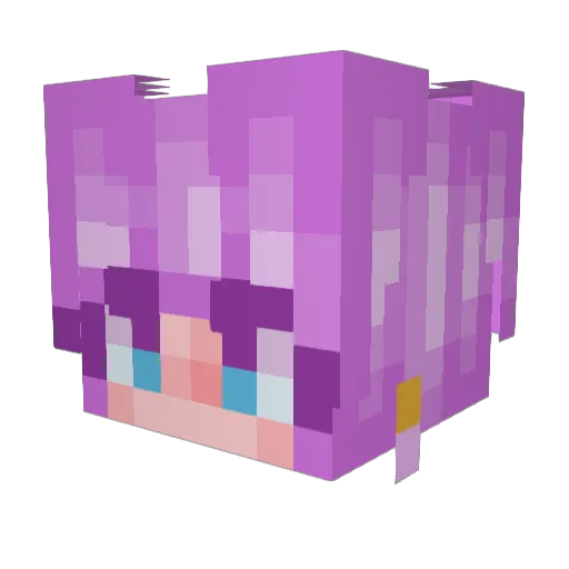 SpaceBlix Minecraft avatar head, 3D render