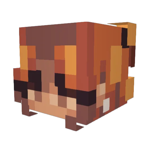 SpaceBoy12344321 Minecraft avatar head, 3D render