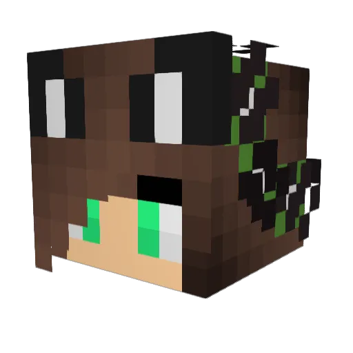 SpaceCat1125 Minecraft avatar head, 3D render