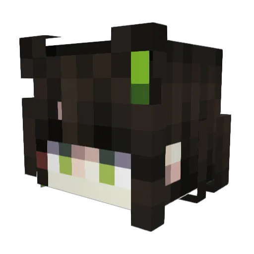 SpaceCat1534 Minecraft avatar head, 3D render