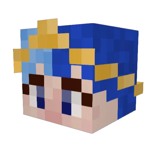 SpaceCat99 Minecraft avatar head, 3D render