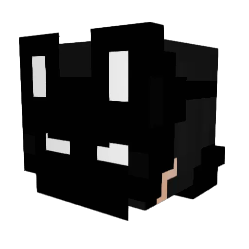 SpaceCatLord474 Minecraft avatar head, 3D render