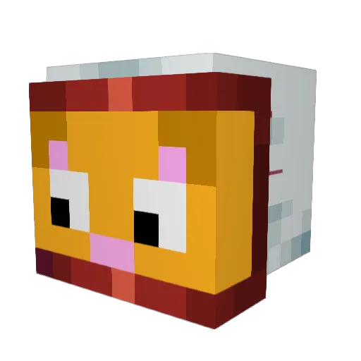 SpaceCatNate Minecraft avatar head, 3D render