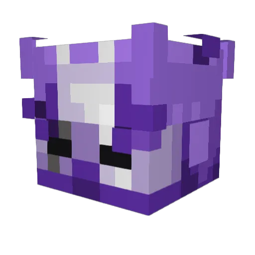 SpaceCoupe14 Minecraft avatar head, 3D render