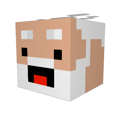 SpaceCreww Minecraft avatar head, 3D render