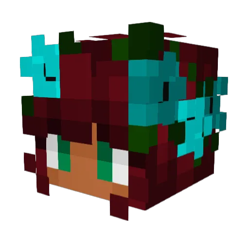 SpaceDust45 Minecraft avatar head, 3D render