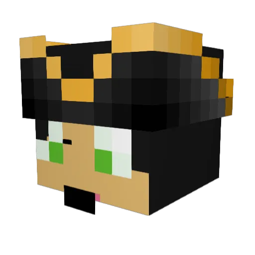 SpaceEndre Minecraft avatar head, 3D render
