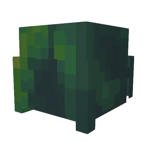 SpaceEttiquete7 Minecraft avatar head, 3D render