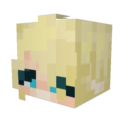 SpaceFace6464 Minecraft avatar head, 3D render