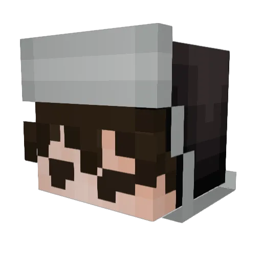 SpaceFox49 Minecraft avatar head, 3D render