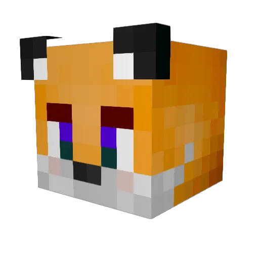 SpaceFox883 Minecraft avatar head, 3D render